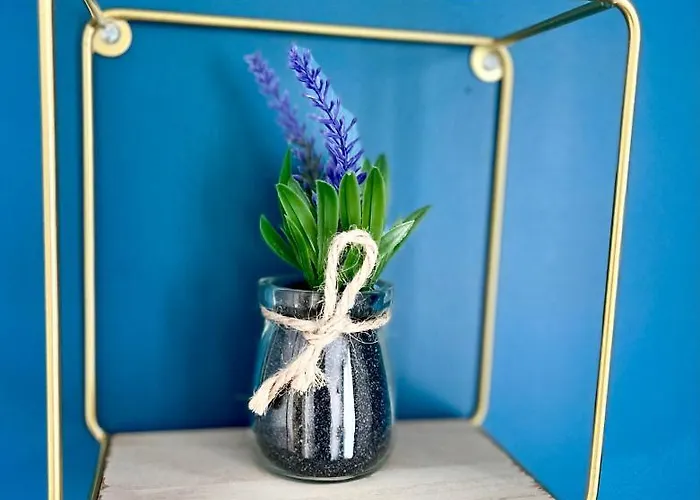 - T2 Et T3 - Confort - Nouveau Appartement Le Havre