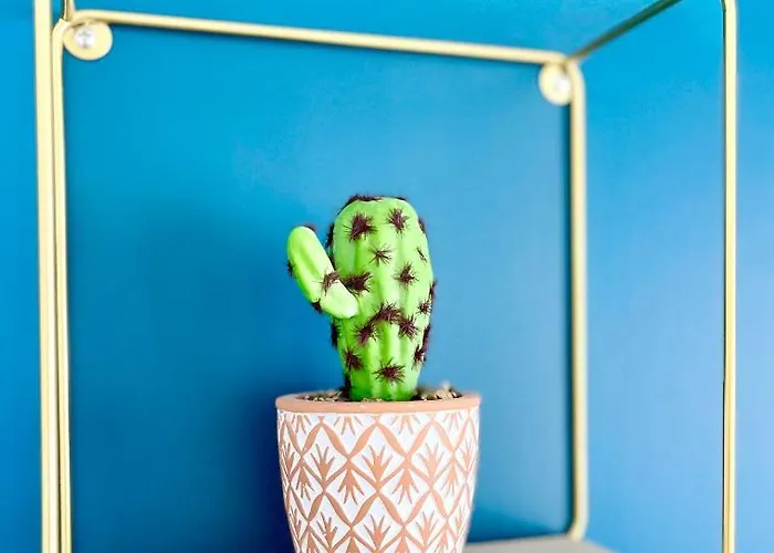 - T2 Et T3 - Confort - Nouveau Appartement Le Havre